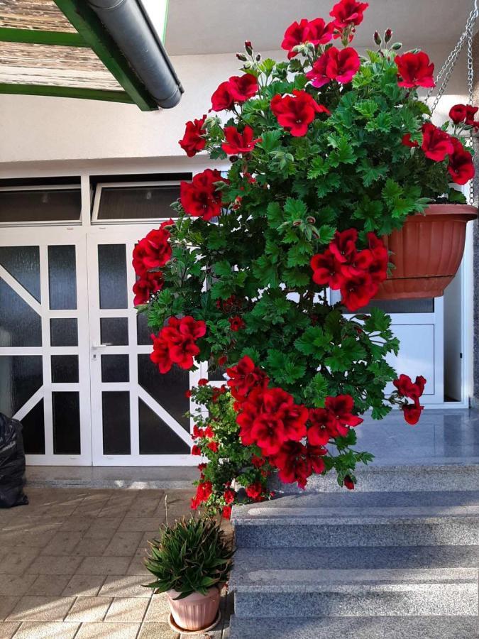 Apartment Bracic Vodice Esterno foto